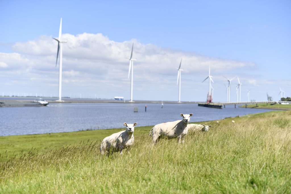 Groningen Seaports