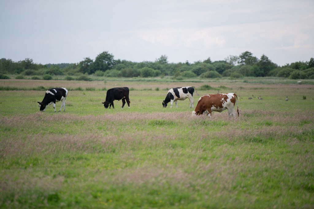 Province Drenthe